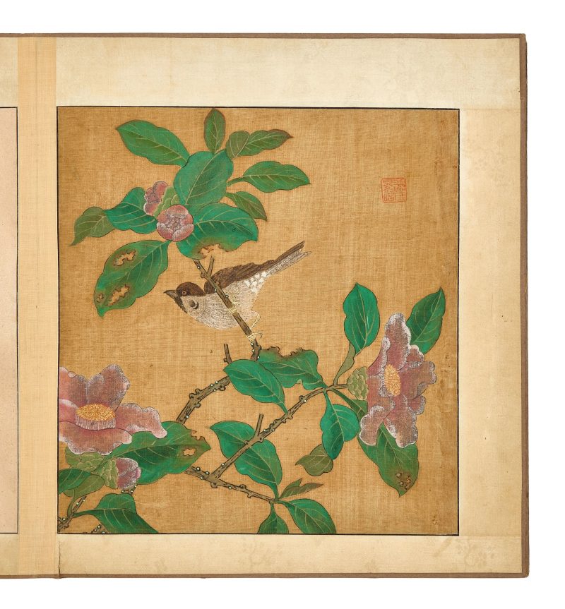 邊景昭（傳） 花鳥圖 | After Bian Jingzhao (active 1426–1435) — An album of flowers and birds - 图5
