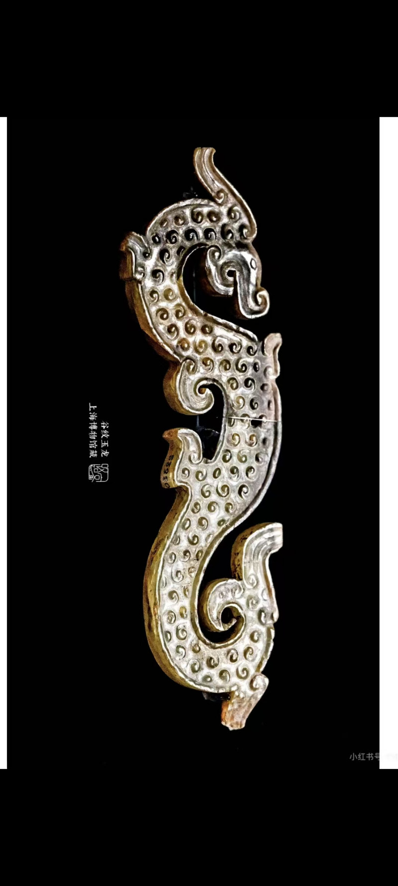 明代 S龙 - 图10