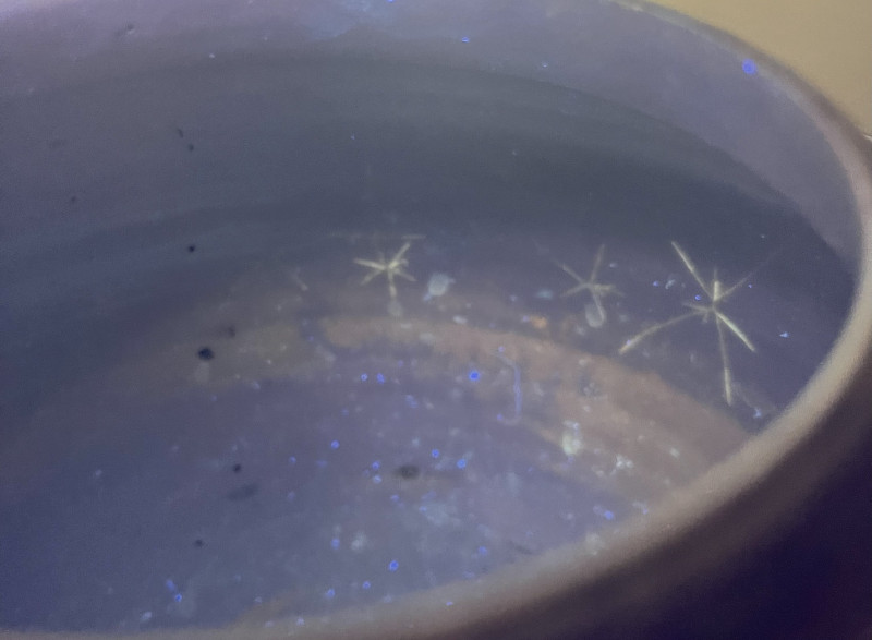 清康熙 青花持莲童子罐 - 图15