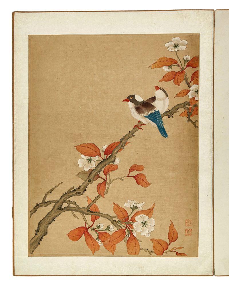 蔣廷錫款 花鳥冊頁 | After Jiang Tingxi — An album of flowers and birds - 图14