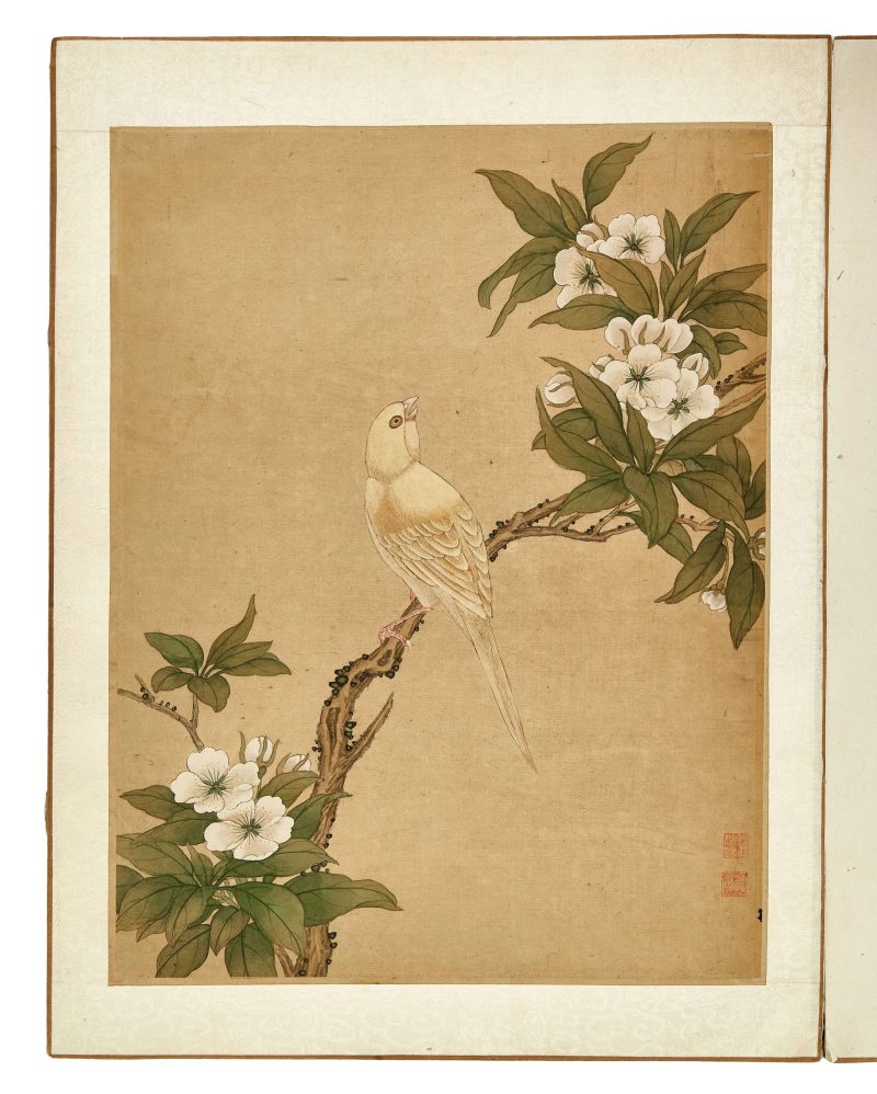 蔣廷錫款 花鳥冊頁 | After Jiang Tingxi — An album of flowers and birds - 图3