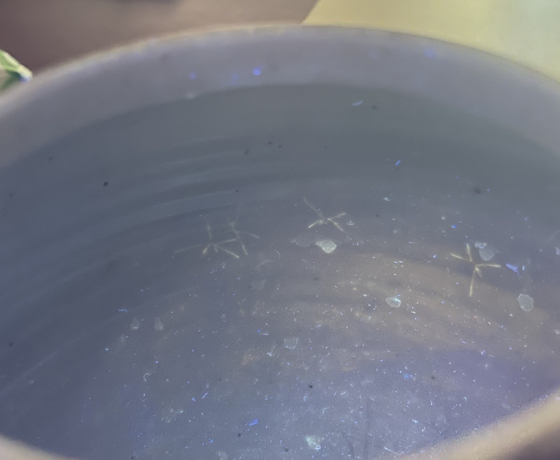 清康熙 青花持莲童子罐 - 图16