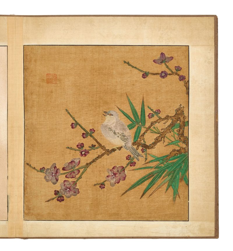 邊景昭（傳） 花鳥圖 | After Bian Jingzhao (active 1426–1435) — An album of flowers and birds - 图7