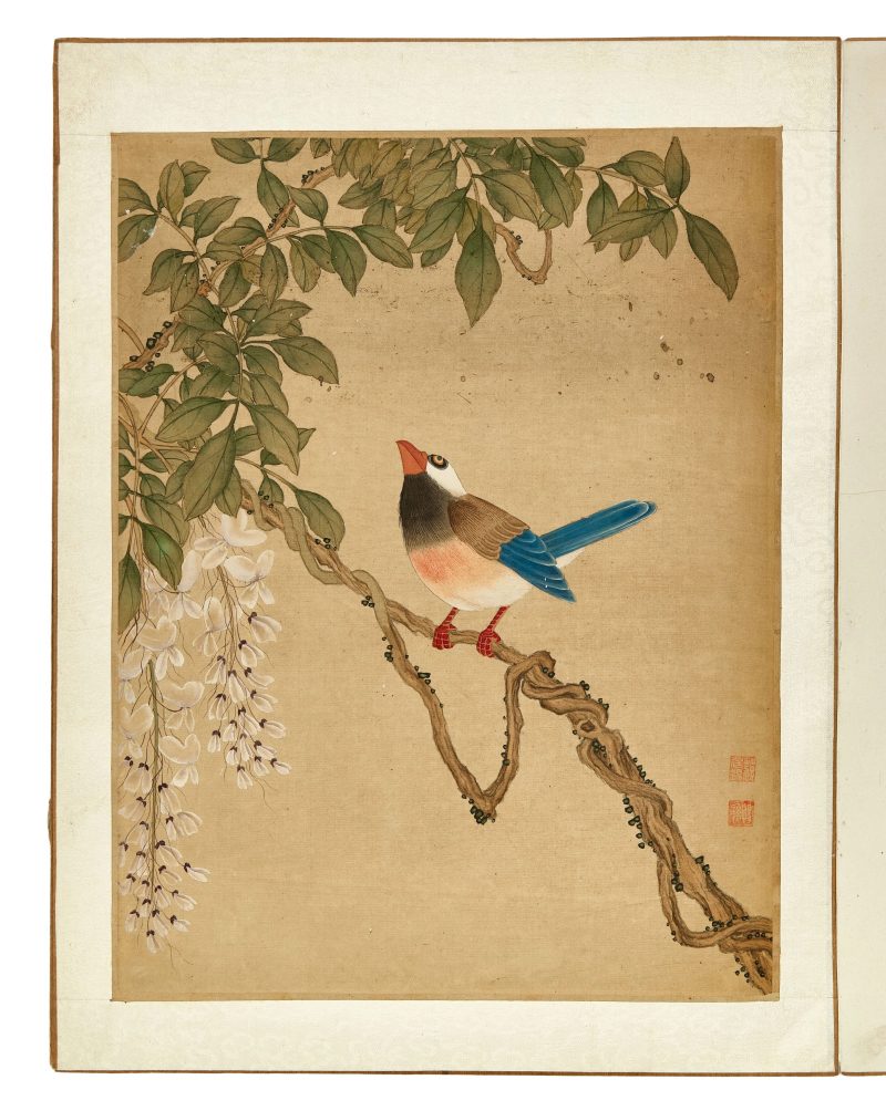 蔣廷錫款 花鳥冊頁 | After Jiang Tingxi — An album of flowers and birds - 图4