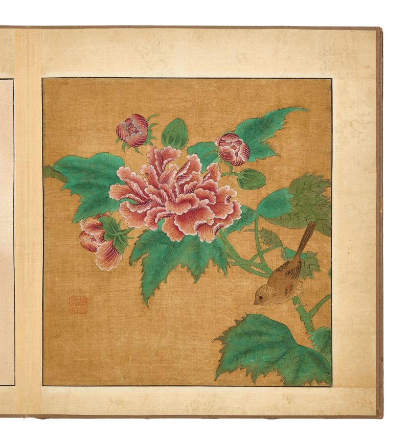 邊景昭（傳） 花鳥圖 | After Bian Jingzhao (active 1426–1435) — An album of flowers and birds - 图8
