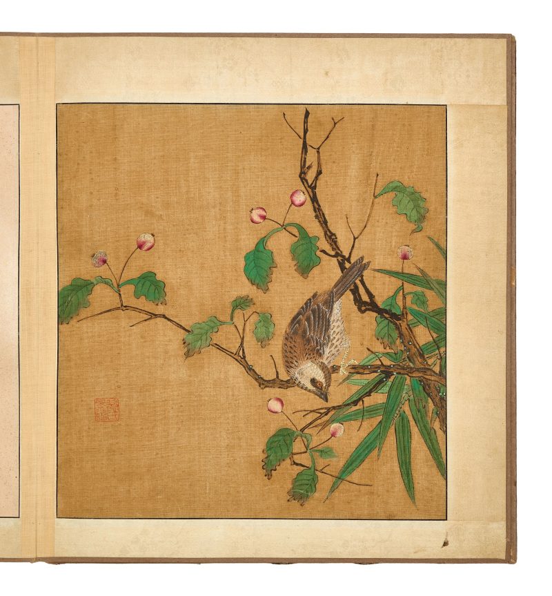 邊景昭（傳） 花鳥圖 | After Bian Jingzhao (active 1426–1435) — An album of flowers and birds - 图9