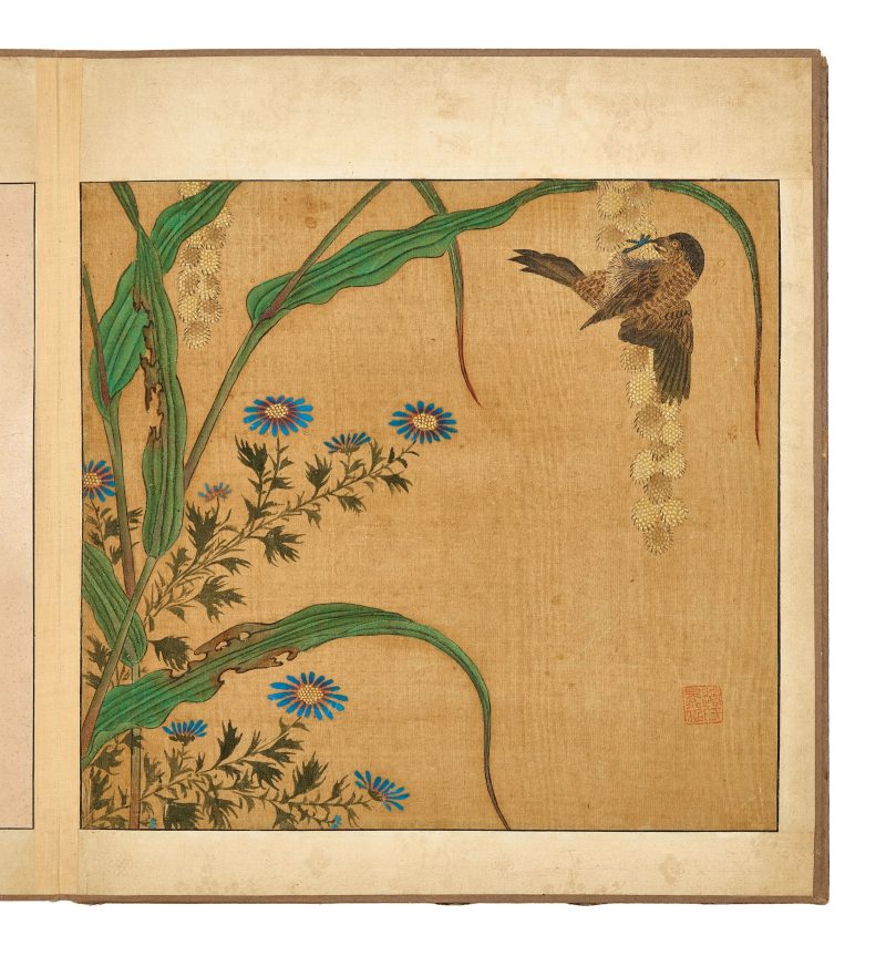 邊景昭（傳） 花鳥圖 | After Bian Jingzhao (active 1426–1435) — An album of flowers and birds - 图10