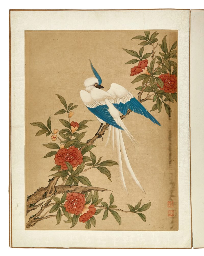 蔣廷錫款 花鳥冊頁 | After Jiang Tingxi — An album of flowers and birds - 图5