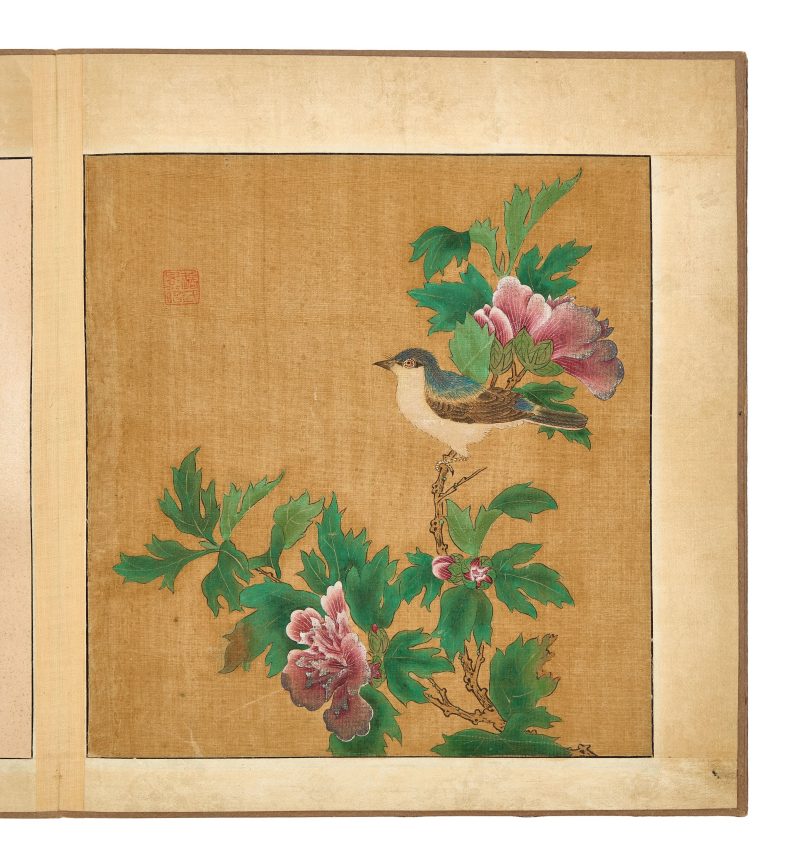邊景昭（傳） 花鳥圖 | After Bian Jingzhao (active 1426–1435) — An album of flowers and birds - 图11