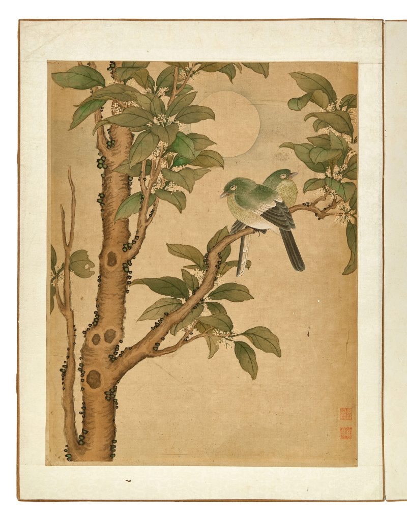 蔣廷錫款 花鳥冊頁 | After Jiang Tingxi — An album of flowers and birds - 图6