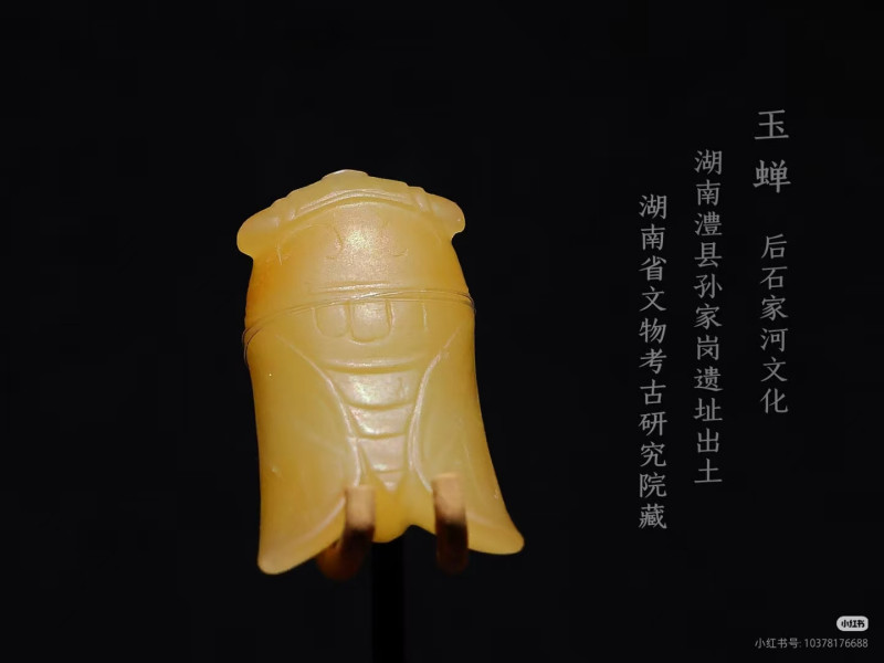 明代 玉蝉 - 图9