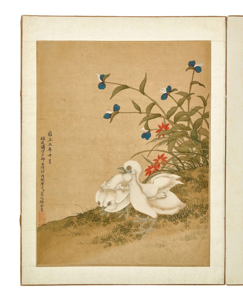 蔣廷錫款 花鳥冊頁 | After Jiang Tingxi — An album of flowers and birds - 图7