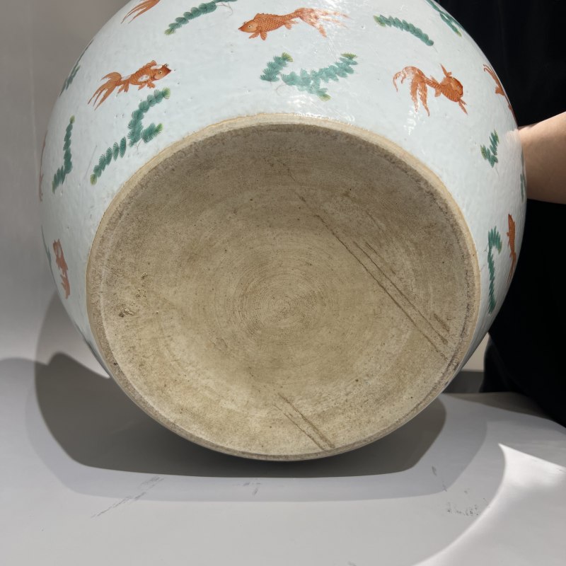 清道光 粉彩金玉满堂鱼藻纹大缸 - 图7