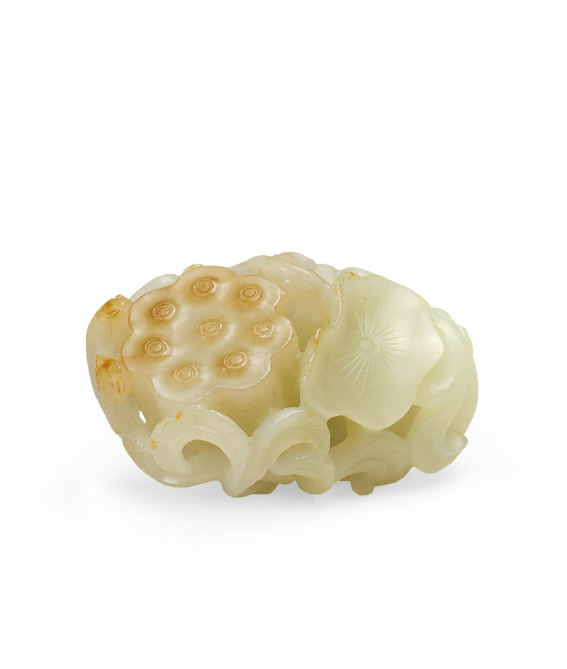 白玉蓮蓬