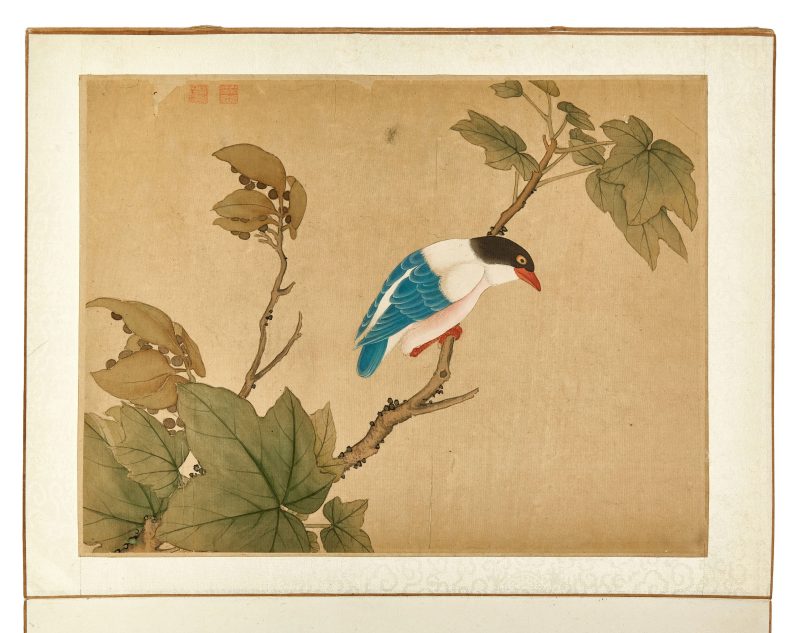 蔣廷錫款 花鳥冊頁 | After Jiang Tingxi — An album of flowers and birds - 图8