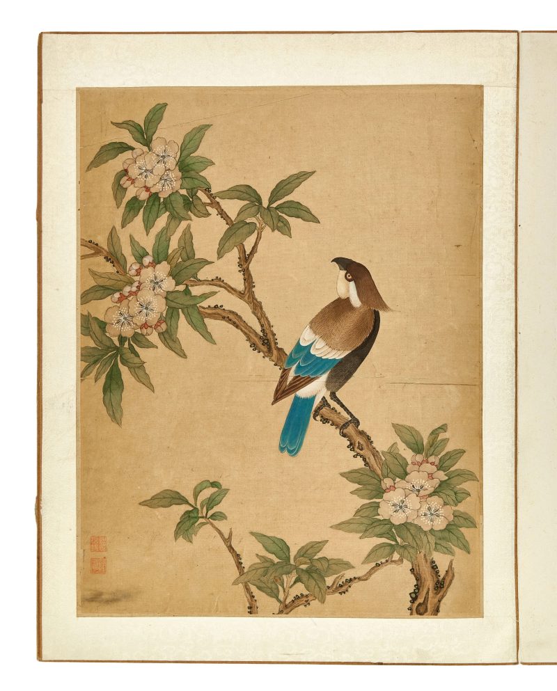 蔣廷錫款 花鳥冊頁 | After Jiang Tingxi — An album of flowers and birds - 图9