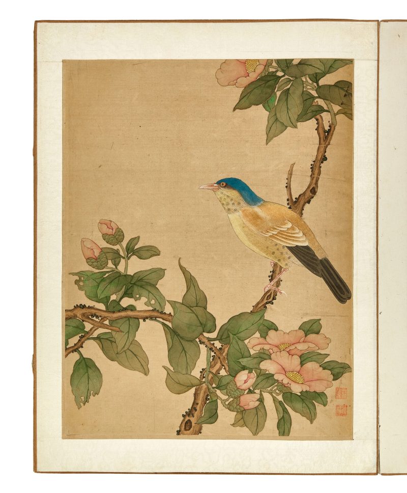 蔣廷錫款 花鳥冊頁 | After Jiang Tingxi — An album of flowers and birds - 图10