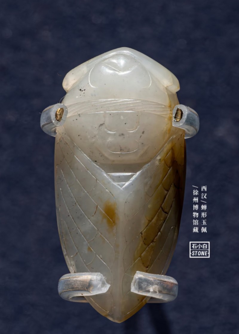 明代 玉蝉 - 图9