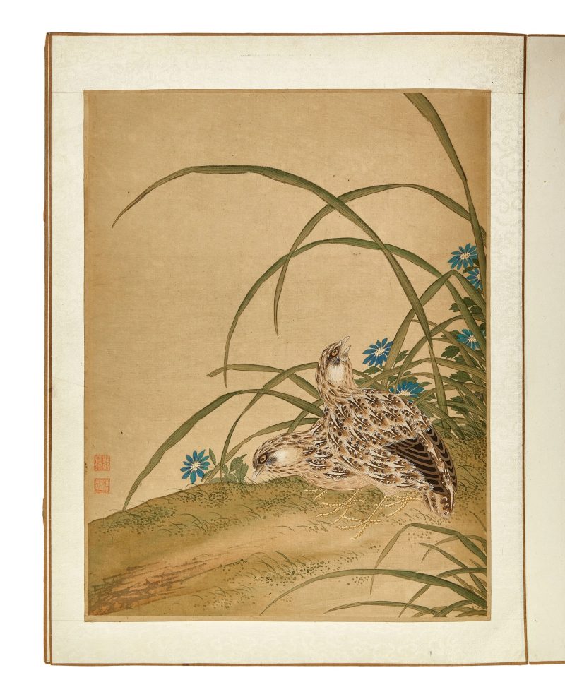 蔣廷錫款 花鳥冊頁 | After Jiang Tingxi — An album of flowers and birds - 图11