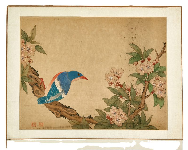 蔣廷錫款 花鳥冊頁 | After Jiang Tingxi — An album of flowers and birds - 图12