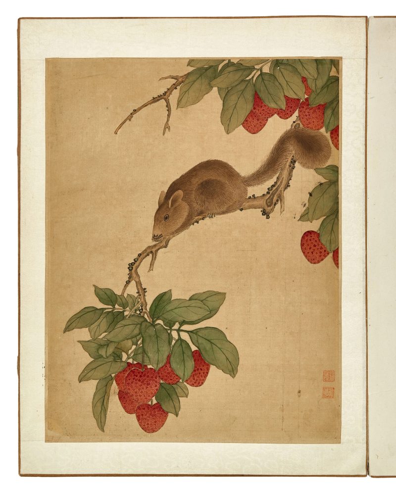 蔣廷錫款 花鳥冊頁 | After Jiang Tingxi — An album of flowers and birds - 图13
