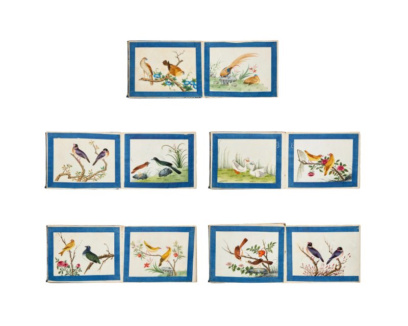 清約1840 水粉通草花鳥畫十幅成冊 | Chinese Guangdong (Canton) School, Qing dynasty, circa 1840