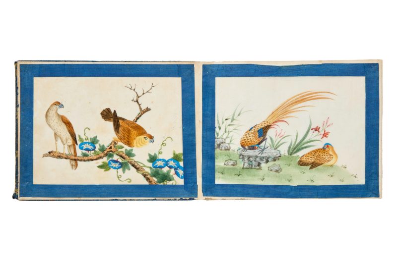 清約1840 水粉通草花鳥畫十幅成冊 | Chinese Guangdong (Canton) School, Qing dynasty, circa 1840 - 图2