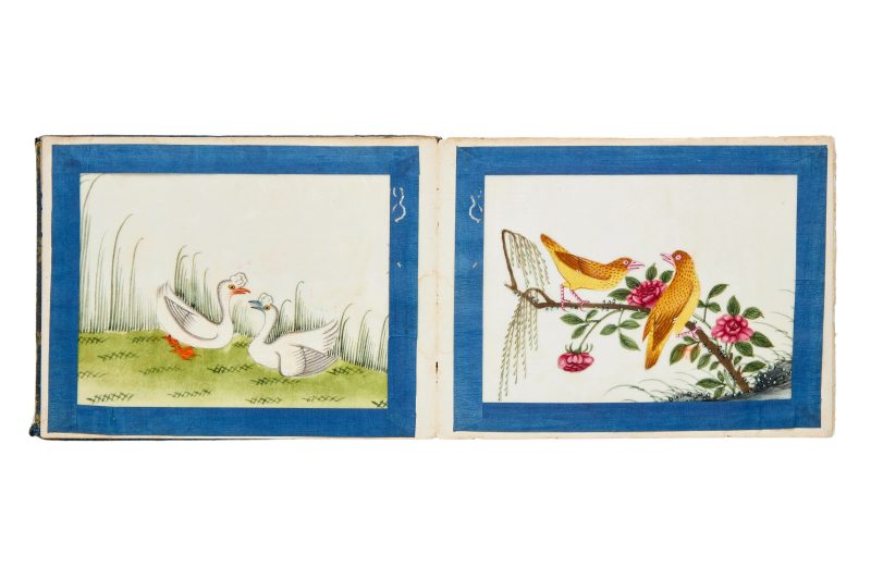 清約1840 水粉通草花鳥畫十幅成冊 | Chinese Guangdong (Canton) School, Qing dynasty, circa 1840 - 图4