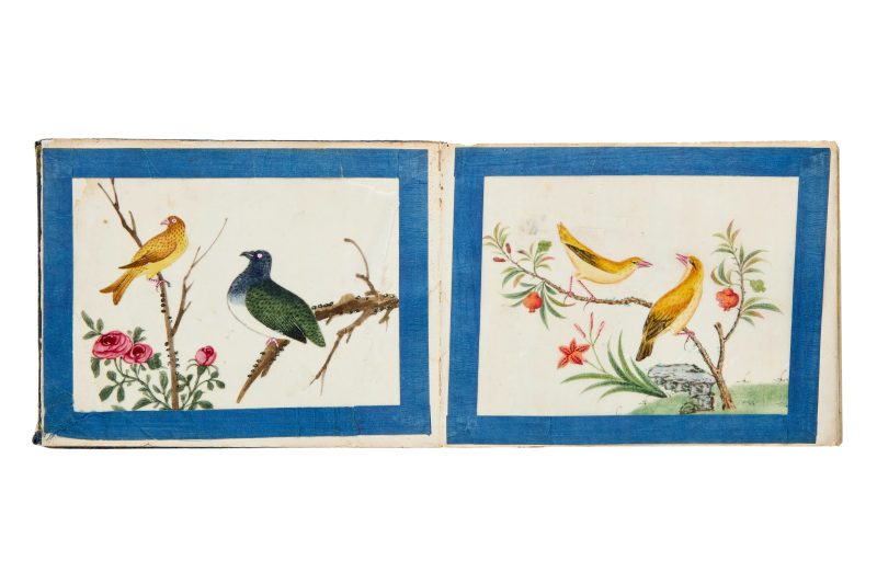 清約1840 水粉通草花鳥畫十幅成冊 | Chinese Guangdong (Canton) School, Qing dynasty, circa 1840 - 图5