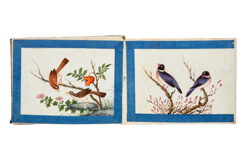 清約1840 水粉通草花鳥畫十幅成冊 | Chinese Guangdong (Canton) School, Qing dynasty, circa 1840 - 图6