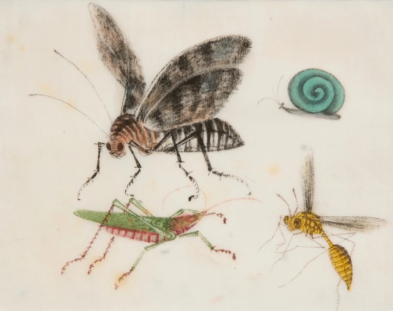 清十九世紀 昆蟲水粉通草畫十二幅，玻璃鏡框 | Chinese Guangdong (Canton) School, Qing dynasty, 19th century - 图2