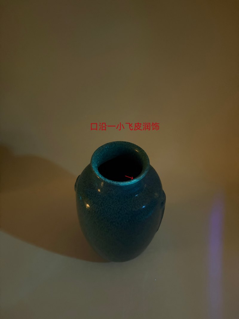 清乾隆 炉钧釉灯笼瓶 - 图14