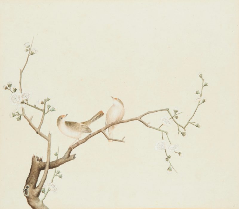 清十九世紀 鹪鹩梅花圖，設色紙本，玻璃木框 | Chinese Guangdong (Canton) school, 19th century