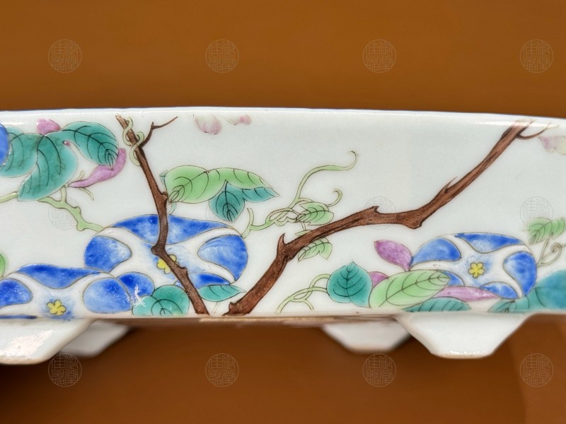 清光绪 粉彩牵牛花纹椭圆水仙盆 - 图5